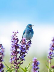  Blue Bird with Purple and Blue Flowers on a Clear Sky Background