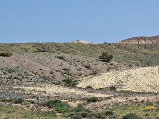 amazing desert landscape in spring
