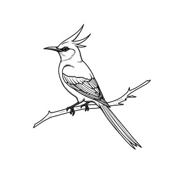 recommend clip art: bird on a branch of tree