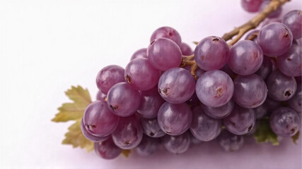 Fototapeta premium A bunch of grapes lies on a light purple background.