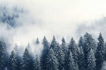 Winter landscape, snowy forest, misty mountains, evergreen trees, fog, cold atmosphere