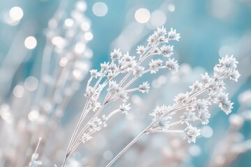 Naklejka premium Winter macro, delicate ice crystals, frozen plant stems, snowflakes, soft focus, ethereal light