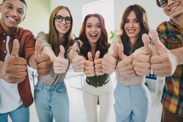 Cropped photo of group young corporate workers show thumb up approval workstation office business...