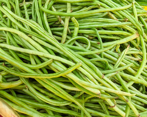 Heap of Fresh yardlong Green Beans Piled Together in Natural Light