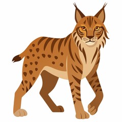 a cat illustration  on white background