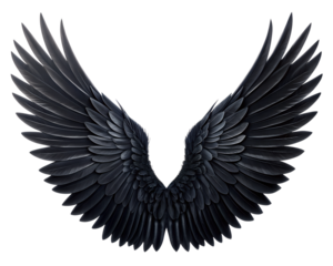 black wings