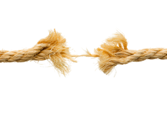 Frayed rope breaking, golden fibers, tension, stress, close-up detail, white background, isolated object, split ends, tearing apart, natural material, minimalist composition, high contrast, macro