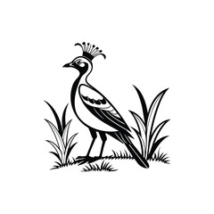 Royal Crested Bird Silhouette Standing on Grass – Vector Art