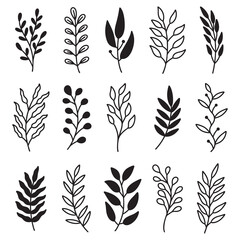 set of leaves and branches vector