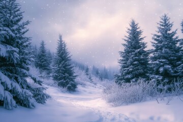 Naklejka premium Serene winter landscape, snow-covered pine trees, gentle snowfall, soft moonlight, misty atmosphere