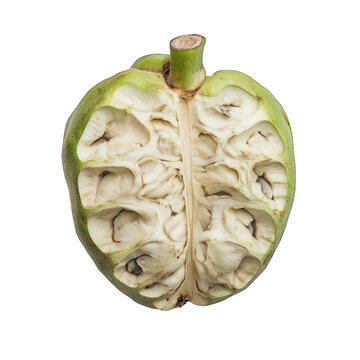 Annona muricata: Soursop Fruit Inside isolated on transparent background