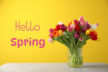 Hello Spring. Bright tulips in glass vase on white table against yellow background