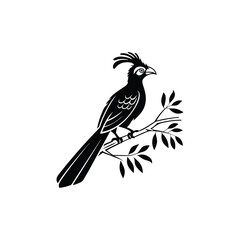 Royal Crested Bird Silhouette Standing on Grass – Vector Art