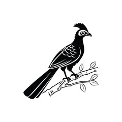 Fototapeta premium Royal Crested Bird Silhouette Standing on Grass – Vector Art