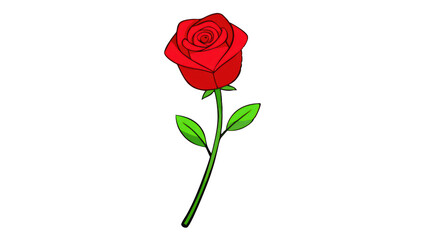 Fototapeta premium a single red rose with green stem and leaves, a classic symbol of love and beauty