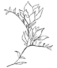 tiny wild flowers and plants line art botanical illustrations. Trendy greenery hand draw lines black ink sketches. vector illustration