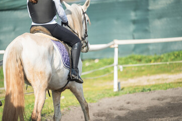 Young horseback rider training in the paddock with white horse