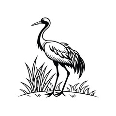 Black and White Heron Bird Silhouette with Grass – Vector Illustration