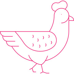 Chicken single vector icon illustration