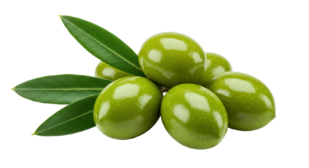 Isolated Bunch of Green Olives with Fresh Leaves