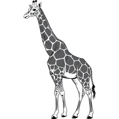 Naklejka premium Graceful Giraffe in Clean Vector Art.