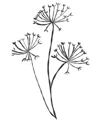 tiny wild flowers and plants line art botanical illustrations. Trendy greenery hand draw lines black ink sketches. vector illustration
