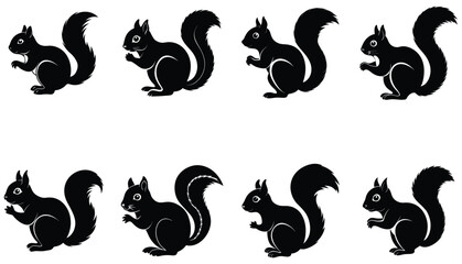 Squirrel vector shilhouette bundle set 
