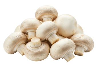 Isolated Pile of Fresh White Button Mushrooms