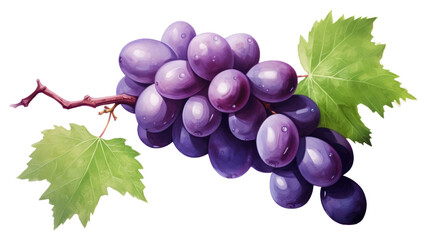 Fototapeta premium PNG Grapes fruit plant food.