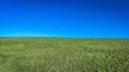 Scenic landscape of a lush green grass field under a clear blue sky, evoking serenity and tranquility