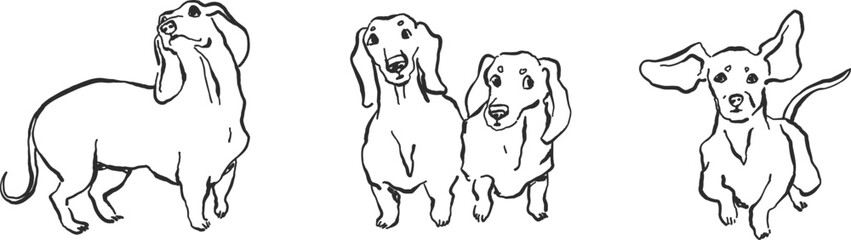 Doodle dachshund dogs, hand-drawn simple line art, ink sketch style