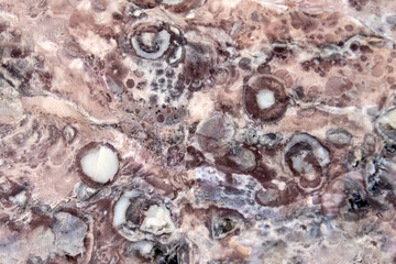 Pelitic Schist Rock isolated as nice textured Background