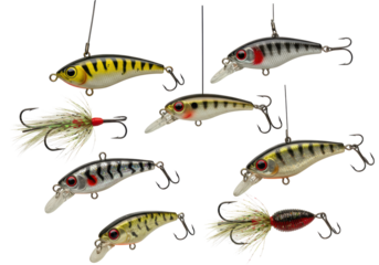 Isolated Collection of Fishing Lures