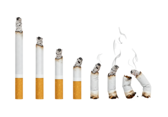 Isolated Cigarette Set in Various Stages of Burning with Smoke