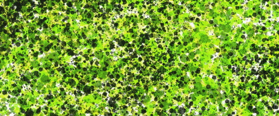 Abstract Pattern of Bright Green Dots and Textures for Background or Design Use in Nature Themes and Art Projects grainy noise texture banner header poster wallpaper backdrop design with copy space