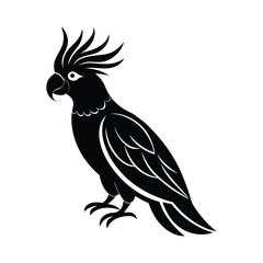 Fototapeta premium vector illustration of a Cockatoo bird