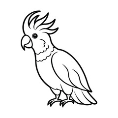 Fototapeta premium parrot on a white background