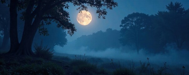 Moonlit woods with mist and fog, atmosphere, fog, forest