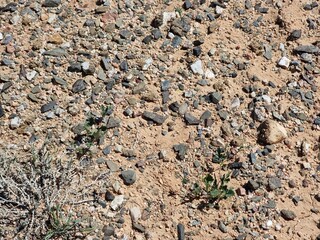 close-up of the desert soil
