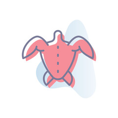 Sea Turtle Vector icon