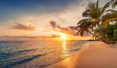 Sandy beach with coconut palm trees in the turquoise sea on paradise island. Royalty high-quality free best stock of panoramic sunrise landscape. Inspire tropical seascape horizon, summer vacation © Jang