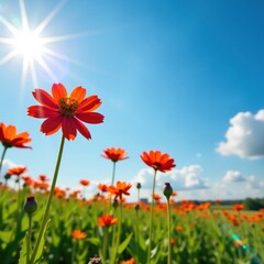 Pisteblume L?wenzahn against a blue sky on a sunny day, outdoor, stem, summer