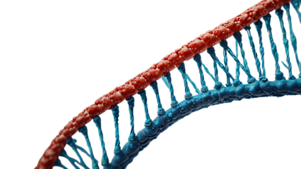 DNA on a transparent background