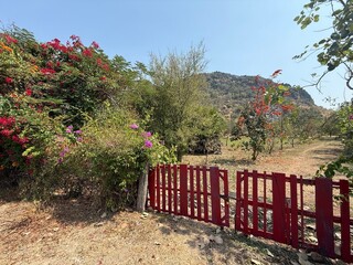barrière de bois peinte en rouge délimitant un terrain dans la campagne thaïlandaise