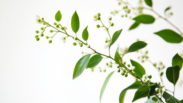 Rare illness patient engaging in a virtual consultation with a healthcare provider. Featuring personalized care and ease of access