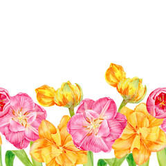 Spring seamless border, consists of pink and yellow tulips, open and buds. Hand painted with watercolors. For interior decoration, postcards or cosmetics, wallpaper, dishes