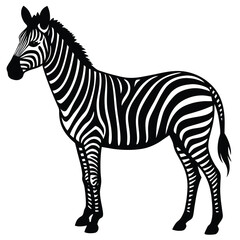 Zebra vector shilhouette bundle set