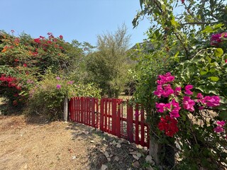 barrière de bois peinte en rouge délimitant un terrain dans la campagne thaïlandaise