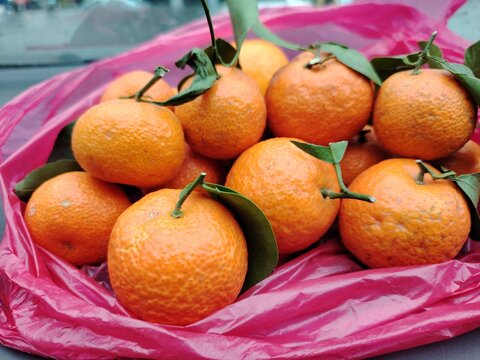 Close-up view of a cluster of vibrant orange mini mandarins.