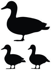 Duck silhouette illustration